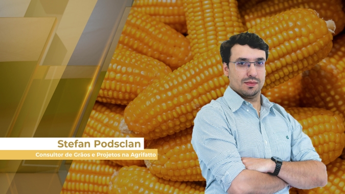 Preço do milho sustentado no Brasil com demanda interna, menos oferta e atrasos da soja