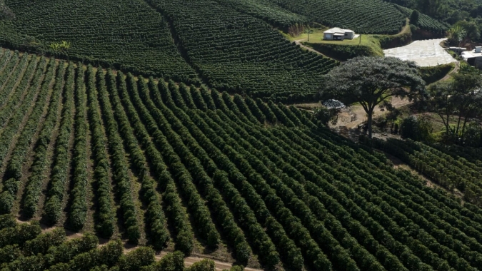 Associação dos Cafeicultores do Sudoeste de Minas e Sebrae lançam marca território para valorizar a origem produtora