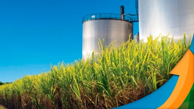 Orplana e Unica firmam acordo com FGV Agro para revisão do Consecana-SP