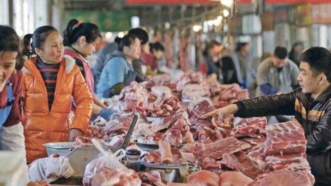 Peste Suína Africana leva Filipinas a suspender importações de carne suína de Taiwan