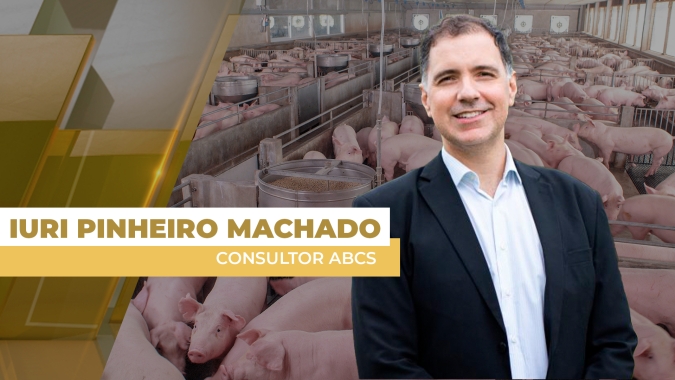 Mercado de Suínos em Alerta