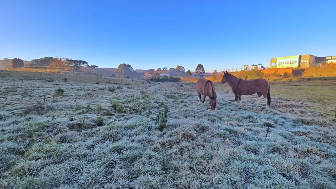 Frio abaixo de zero acende alerta para lavouras do Sul do Brasil