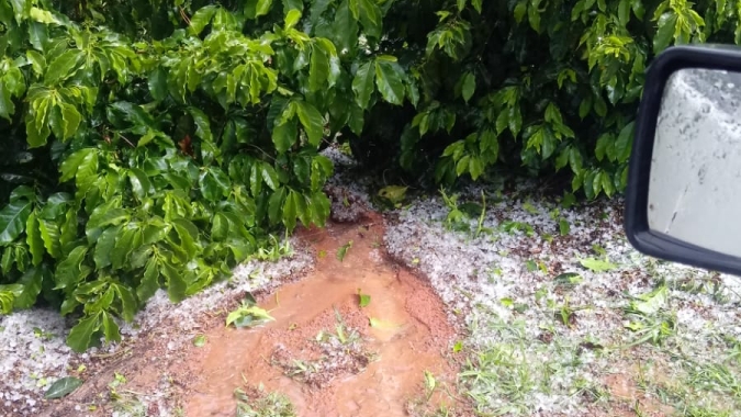 Um dia após granizo no café: Na principal região produtora,  Juruaia declara situação de emergência