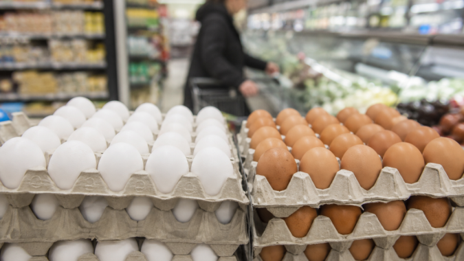 Supermercados britânicos divergem sobre oferta de ovos brancos e marrons