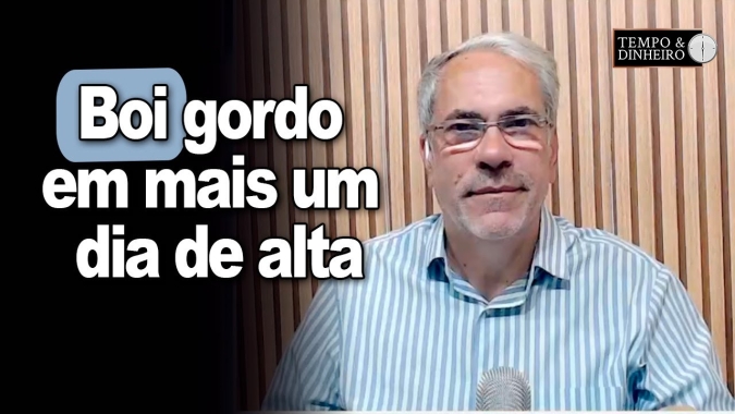 Boi gordo em mais um dia de alta