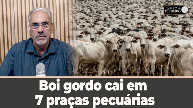 Boi gordo segue "testado" pela indústria com ofertas de preços menores e cai em 7 praças pecuárias