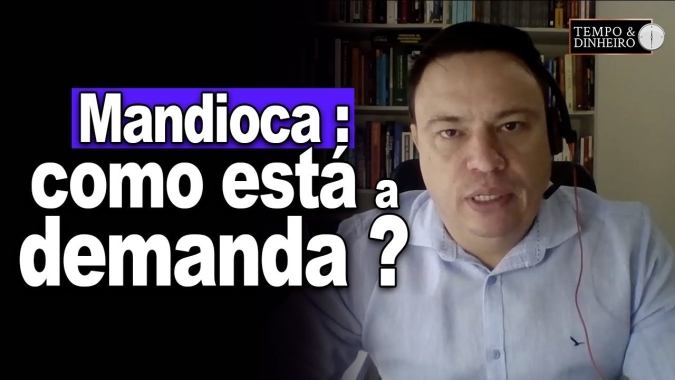 Mandioca : mercado de fécula com demanda aquecida