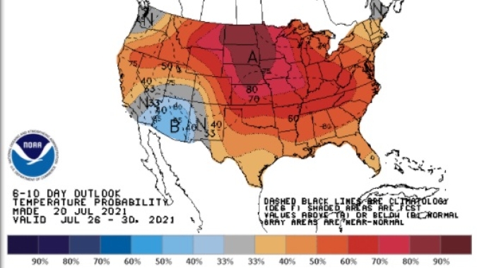 Soja sobe em Chicago com clima desfavorável nos EUA e preços avançam no Brasil