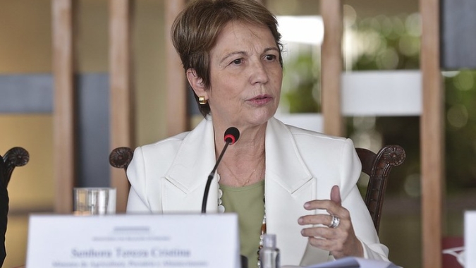 Decisão chinesa é primeiro passo para derrubar veto à carne brasileira, diz Tereza Cristina