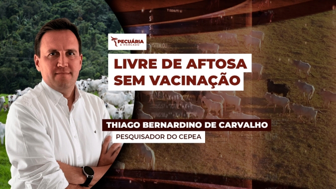 Status de país livre de Febre Aftosa sem vacinação pode potencializar exportações de carne bovina brasileira
