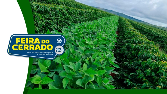 Em busca de certificação, produtor faz consórcio com soja na entrelinha do cafezal e garante produtividade nas duas culturas