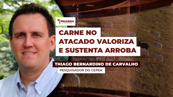 Alta na cotação do boi casado já equivale a uma arroba de mais de R$350