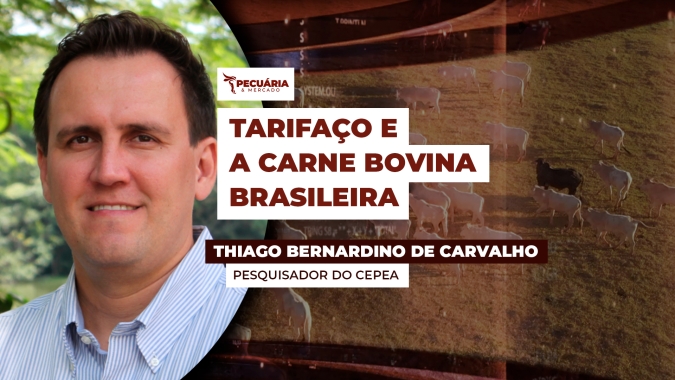 Carne Bovina: Compradores iniciam a semana reticentes e à espera de novidades sobre o tarifaço