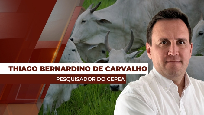 Carne no atacado recua mais rápido que arroba do boi  e frigoríficos intensificam pressão sobre arroba