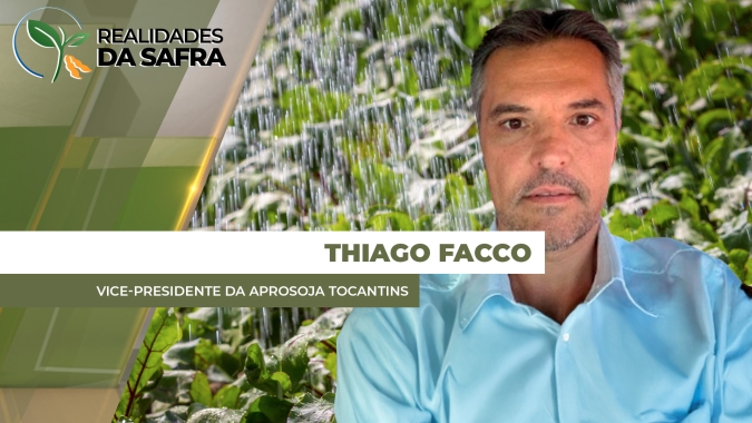 Últimos dias muito chuvosos prejudicam a colheita da soja no Tocantins