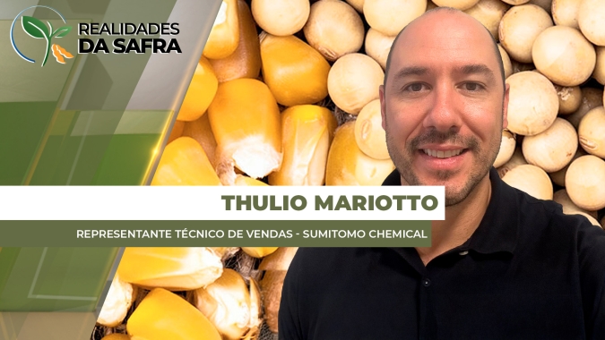 Cascavel/PR com colheita da soja e plantio do milho praticamente encerrados