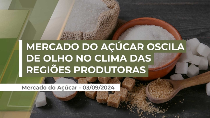Clima e queimadas no Brasil impactam na qualidade da cana e forçam usinas a produzirem mais etanol