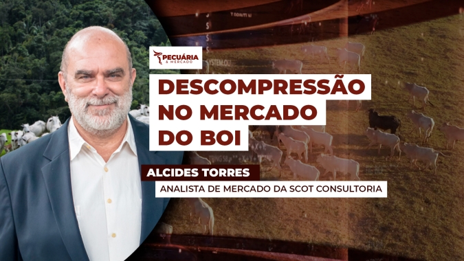 Redução nas escalas de abate e menor volume de fêmeas indo para o gancho sinalizam junho com menor pressão sobre arroba