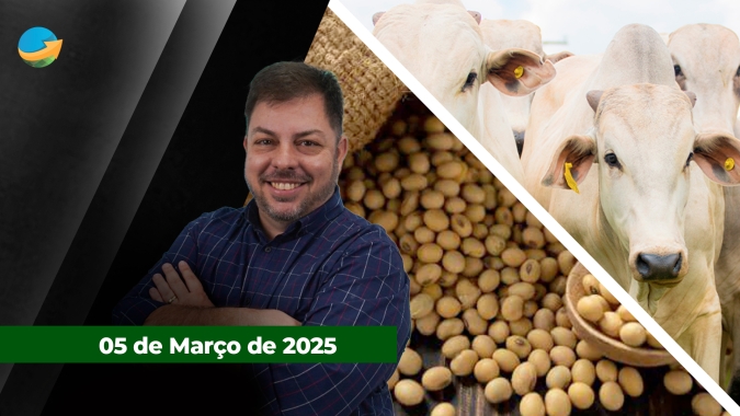 B3 reage mal à suspensão de frigoríficos pela China e boi gordo recua mais de 1%; Soja e milho reagem bem às possibilidades de renegociação dos tarifaços