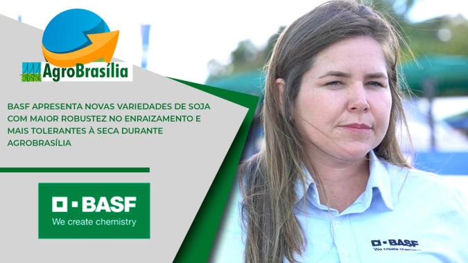 Basf apresenta novas variedades de soja com maior robustez no enraizamento e mais tolerantes à seca durante AgroBrasília