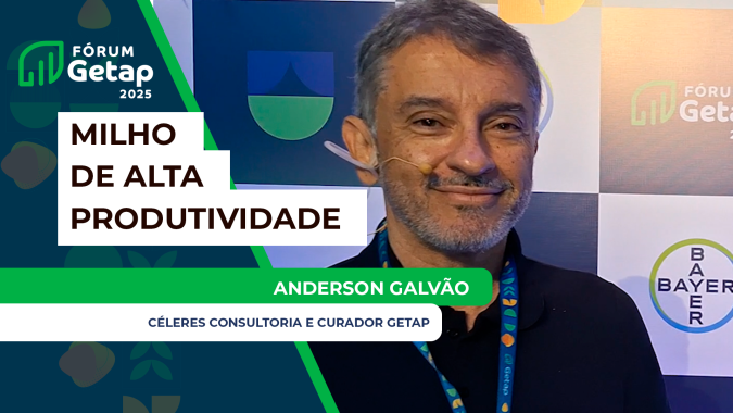 Cultivar milho de alta produtividade é como reger uma orquestra, requer técnica apurada, coesão e equilíbrio nas ações