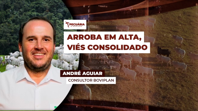 Demanda forte ajuda a manter trajetória de alta da arroba do boi em junho