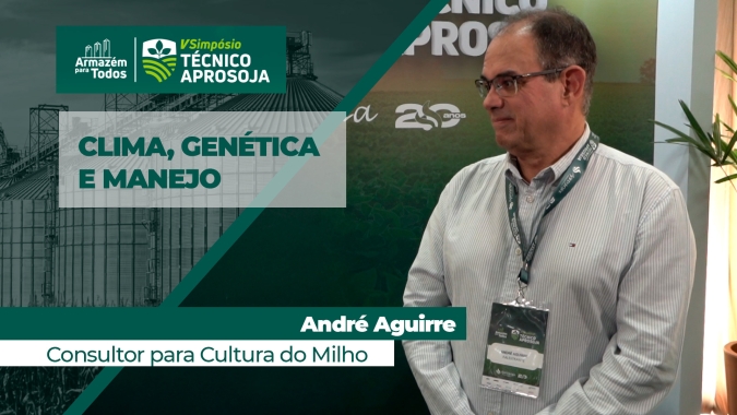 Busca do potencial de produtividade na cultura do milho depende da interação entre genética, clima e manejo