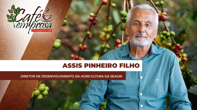 Foco na sustentabilidade: Produção de café na Bahia movimenta a econômia de diversas regiões
