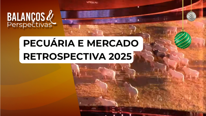 Pecuária & Mercado: Retrospectiva 2025 - Edição de 29/12/2025