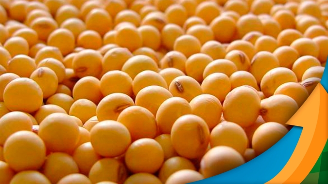 Soja tem nova alta em Chicago, fica acima dos US$12/bushel, mas continuidade do movimento ainda depende do clima nos EUA