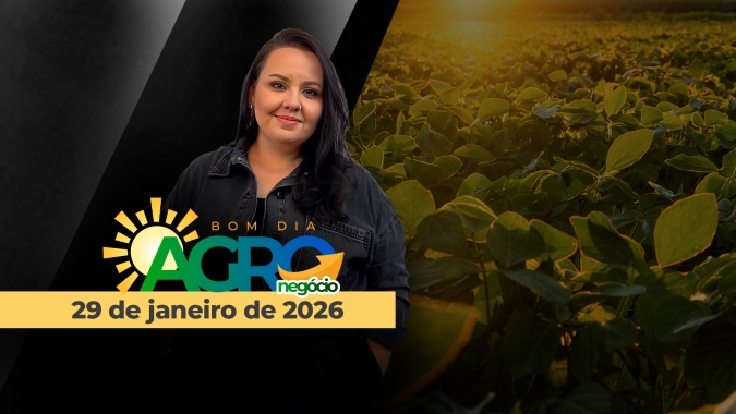 BOM DIA AGRONEGÓCIO - Soja do BR segue pressionada pelo dólar, apesar da CBOT