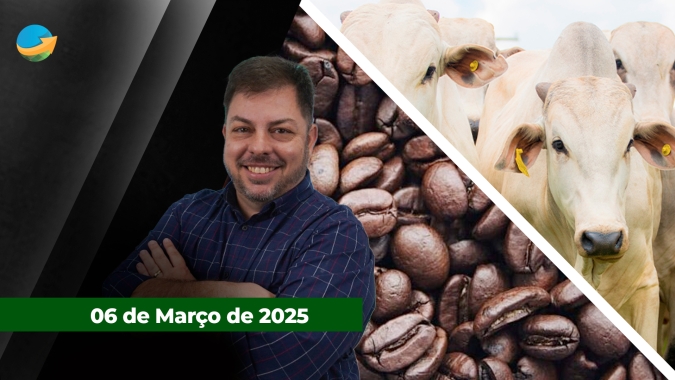 Boi gordo tem dia de queda em 19 das 32 praças pesquisadas pela Scot Consultoria;  Café também tem forte queda em NY com previsões de chuvas no Brasil