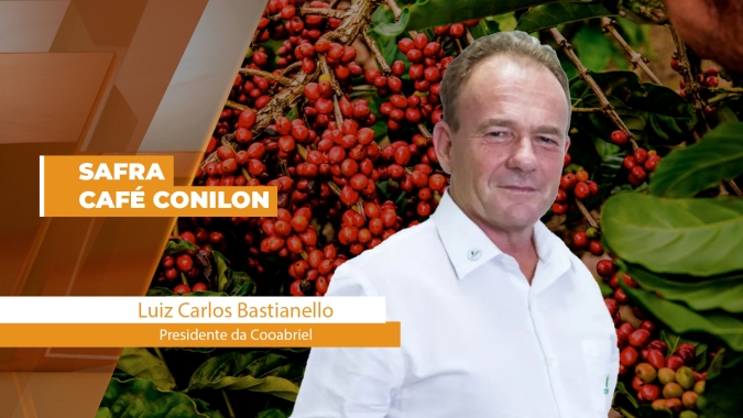 Cooabriel fala sobre a expectativa da safra do café conilon para o Espírito Santo e Bahia