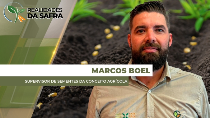 Com janela curta para plantio do milho, escolha correta do híbrido vai fazer a diferença para o potencial de produtivo