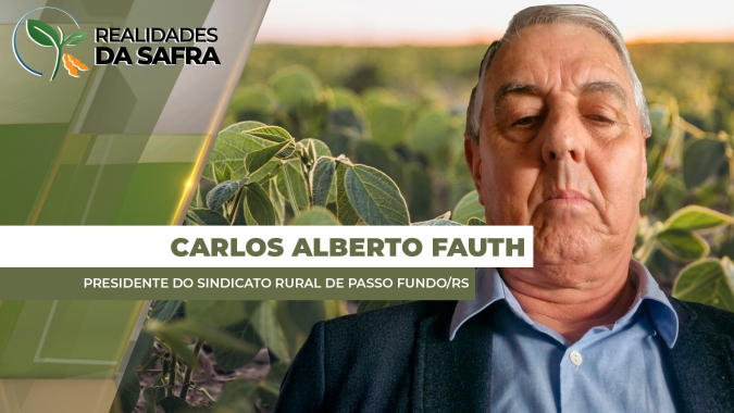 Soja se desenvolvia bem em Passo Fundo/RS, mas 15 dias sem chuvas já afeta as plantas