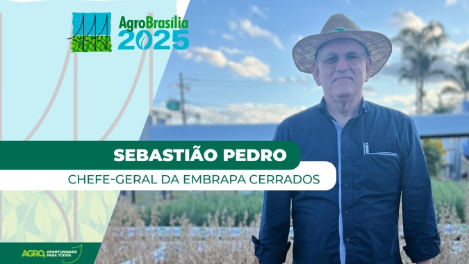 Restauração de áreas degradadas é possível e pode ser rentável ao produtor