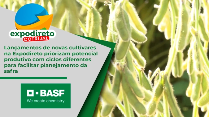 Lançamentos de novas cultivares na Expodireto priorizam potencial produtivo com ciclos diferentes para facilitar planejamento da safra