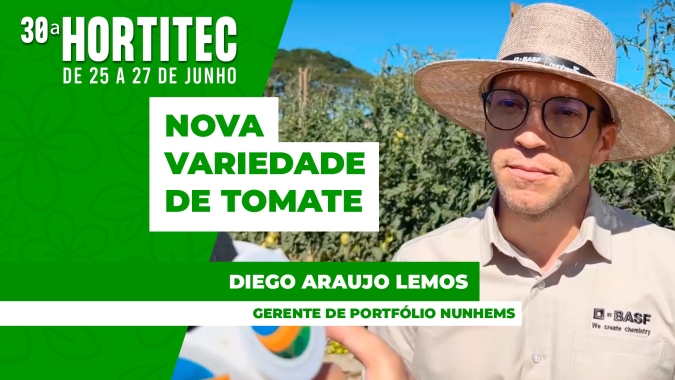 Resistência à doenças e teto produtivo são diferenciais de nova variedade de tomate