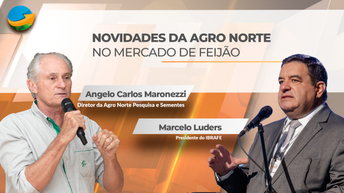 Setor do feijão passa por uma reestruturação no Brasil com mais pesquisa, novas demandas e mudanças na comercialização