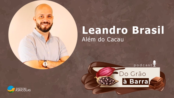 Do Grão à Barra #35 - No Acre, loja multimarcas de chocolates tree e bean-to-bar auxilia no empoderamento da cacauicultura regional