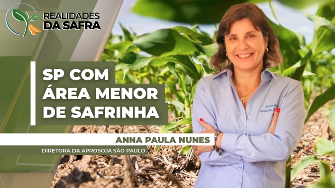 Milho: Em SP, produtores optam pela redução de área de safrinha em algumas regiões em função dos altos custos