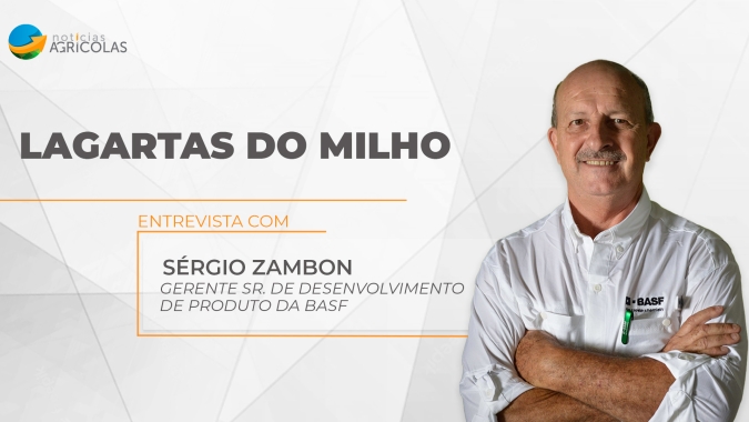 Com falhas na tecnologia BT o controle de lagartas vai exigir maior atenção  nas próximas safras; lagarta do cartucho é a bola da vez