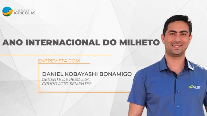 O uso do milheto granífero gera nova alternativa de renda e agrega valor ao sistema de produção na fazenda