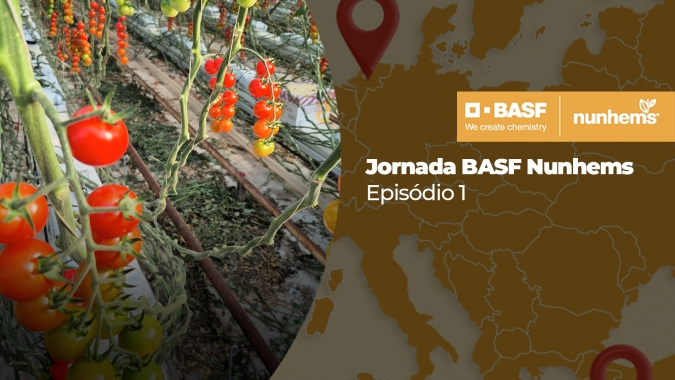 Jornada BASF Nunhems - Episódio 1