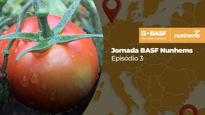 Jornada BASF Nunhems - Episódio 3