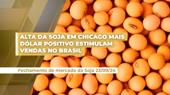 Soja: dia favorável para vendas no Brasil com alta em Chicago e dólar positivo. Estimam-se negócios  de mais de um milhão de toneladas
