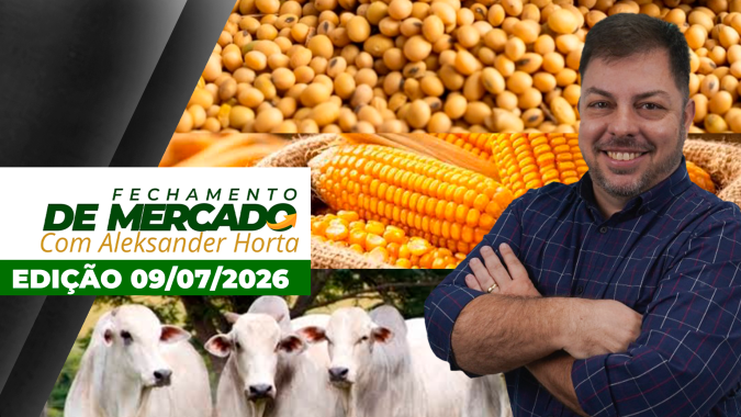 Cenários para soja e milho apontam para pressão nos preços; queda na arroba do boi desacelera