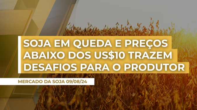 Soja em queda e preços abaixo dos US$10/bu em Chicago trazem cenário desafiador para produtor rural; safra não pode ter falhas