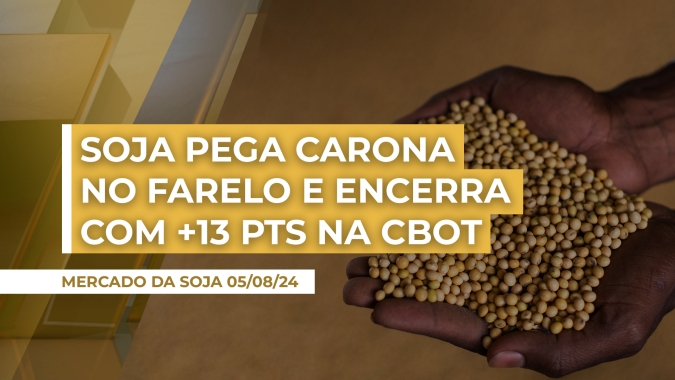 Soja reverte pressão do noturno, pega carona na alta do farelo em Chicago e encerra com 13 pontos de alta nesse início de semana