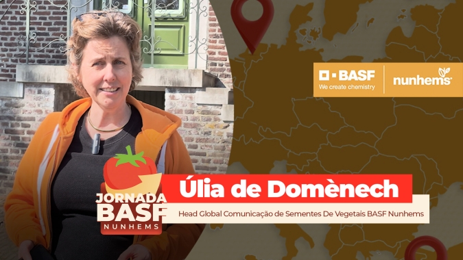 As sementes de vegetais da BASF Nunhems nascem aqui